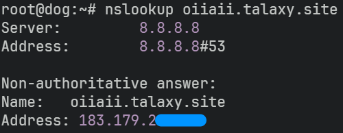nslookup 执行结果
